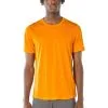 Icebreaker Sphere Short Sleeve Crewe Mens T-Shirt