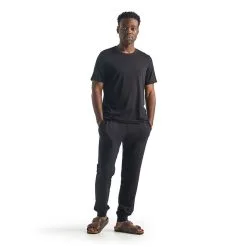 Icebreaker Shifter Mens Pants - Black