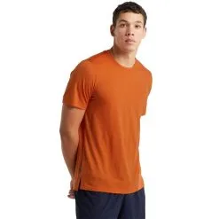 Icebreaker Sphere Short Sleeve Crewe Mens T-Shirt
